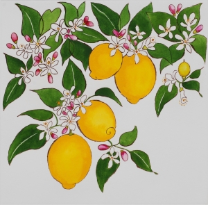 Scent of Lemon blossom